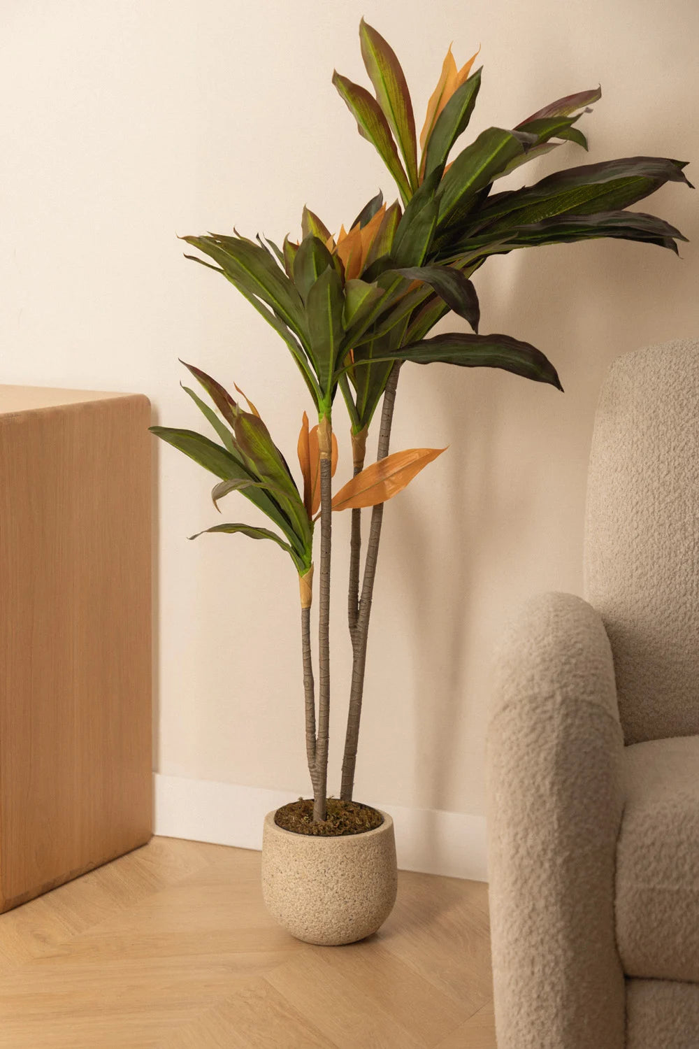 Set Decorativo Ugor + Planta Artificial Dracaena – Naturaleza sin complicaciones