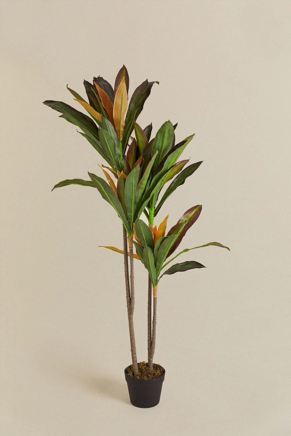 Set Decorativo Ugor + Planta Artificial Dracaena – Naturaleza sin complicaciones