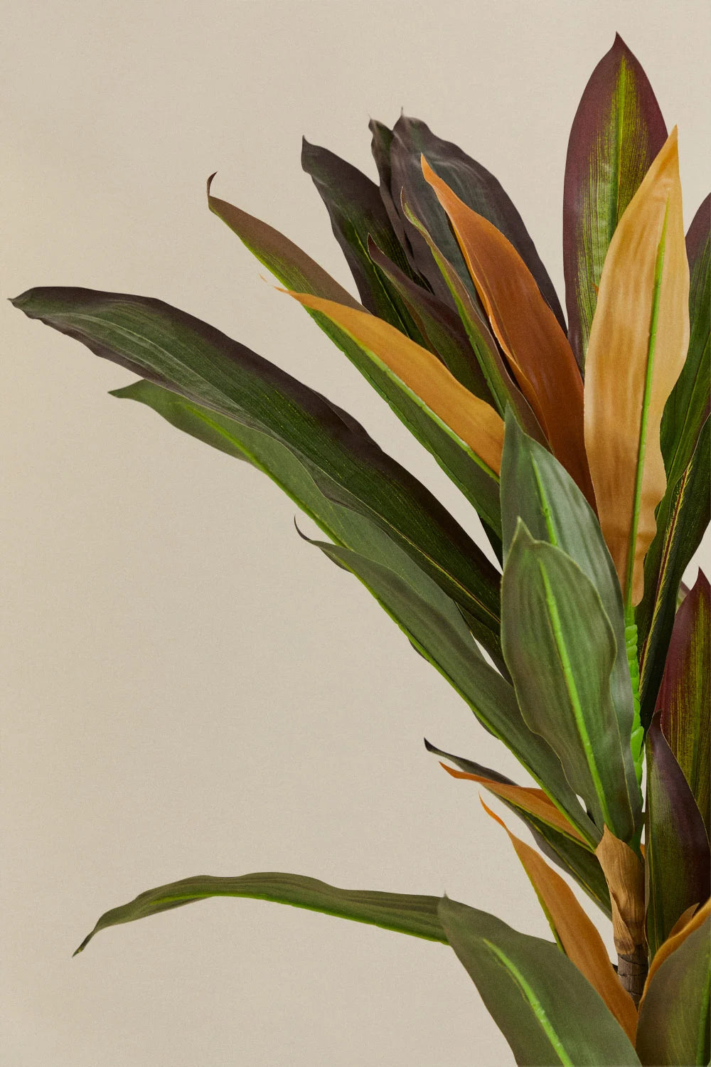 Set Decorativo Ugor + Planta Artificial Dracaena – Naturaleza sin complicaciones